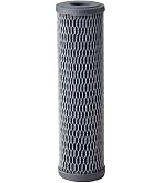 Amazon.com: Pentair Pentek FloPlus-10 Carbon Water Filter, 10-Inch