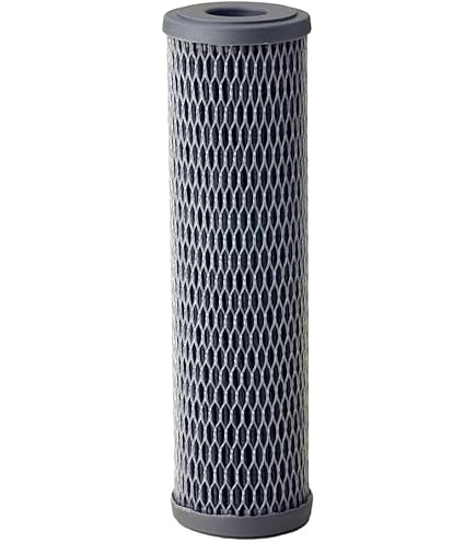 Amazon.com: Pentair Pentek FloPlus-10 Carbon Water Filter, 10-Inch