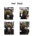 Spiral Hair Ties 12pcs No Crease Elastic Ponytail Holders Hair Ring Phone Cord Traceless Hair Rubber Bands Suitable for All Hair Types Clear 6 Colors,2pcs/Color