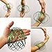 JRD&BS WINL Toys for 4-8 Year Old Boys,Flow Ring Kinetic 3D Spring Toy Sculpture Ring Game Toy for Teens Toys for 3-12 Years Old Boys (Green)