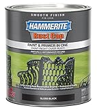 Masterchem Industries 44240 QT Smooth Paint, Black