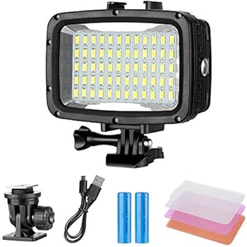 Neewer Underwater Lights Dive Light 60 LED Dimmable Waterproof LED Video Light 131feet/40m for GoPro Hero 6 5 4 Hero Session Canon Nikon Pentax and Other Action and DSLR Cameras (Battery Included)