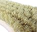 Eco Touch (BSH01) Carpet and Upholstery Scrub Brush