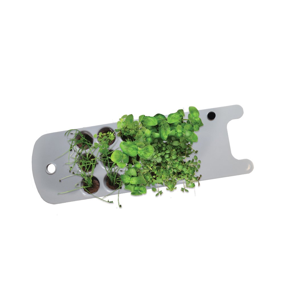 Best Aero Garden Seedling Sponges
