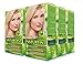 Naturtint 10N Light Dawn Blonde Permanent Hair Color (Pack of 6), Ammonia Free, Vegan, Cruelty Free, up to 100% Gray Coverage, Long Lasting Results (Packaging may vary)