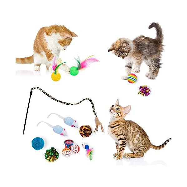 21-Pcs-Cat-Toys-for-Indoor-Cats-Collapsible-Cat-Tunnel-Interactive-Feather-Teaser-Wand-Ball-Toy-for-Kitten-Cats 21 Pcs Cat Toys for Indoor Cats Collapsible Cat Tunnel Interactive Feather Teaser Wand Ball Toy for Kitten Cats