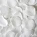 BalsaCircle 4000 White Silk Artificial Rose Petals Wedding Ceremony Flower Scatter Tables Decorations Bulk Supplies Wholesale