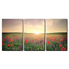3 Piece Canvas Wall Art - Field with Grass, Violet Flowers and Red Poppies Against The Sunset Sky - Modern Home Art Stretched and Framed Ready to Hang - 16"x24"x3 Panels