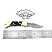 Buffalo Horn 5.5'' Custom Handmade Damascus Steel Double Brass Bloster with Sharpening Rod Folding Pocket Knife Back Lock 100% Prime Quality Come with Leather Sheath