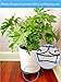 Cocoyard 10 Inch Metal Plant Stand, Set of 2, Heavy Duty Flower Pot Holder Rack for Indoor Outdoor, Metal Rustproof Iron Planter Pot Trivet, Great Gift for Plant Lover and Holidaythumb 2
