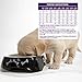Wellness Complete Health Natural Grain Free Dry Puppy Food, Chicken & Salmon, 4-Pound Bag