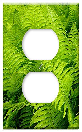Switch Plate Outlet Cover - Fern Vessel Sporenpflanze Fiddlehead Nature Green