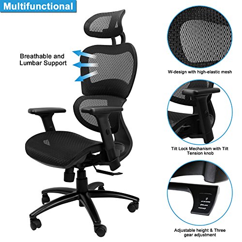 Mysuntown Ergonomic Mesh Office Chair with Back Support, Adjustable Headrest & Adjustable Armrest Lumber Support Desk Executive & Task Chair for Home Office Conference Room