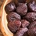 Steve's PaleoGoods, Dried Fruit Strawberries, 6 oz (Pack of 3)