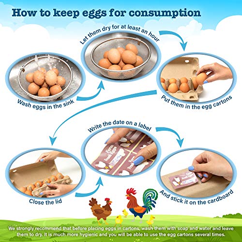 Paper Egg Cartons 20 Pcs Set 12 and 6 Count Reusable Egg Cartons For