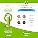 Orgain Organic Plant Based Protein Powder, Iced Matcha Latte, Vegan, Non-GMO, Gluten Free, 2.03 Pound, 1 Count, Packaging May Vary