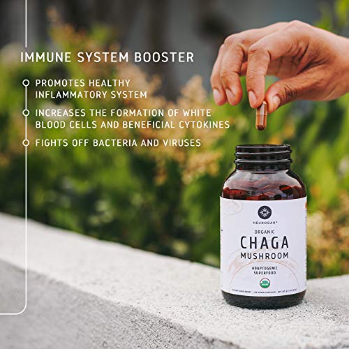 image for Neurogan Chaga Mushroom Capsules (120 Capsules) - 1000mg Wild Harveste