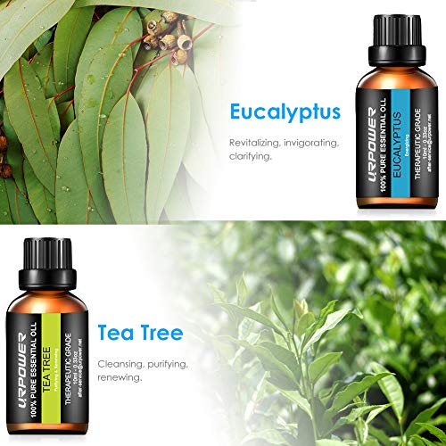 4 URbeauty+Aromatherapy+Peppermint+Eucalyptus+Lemongrass