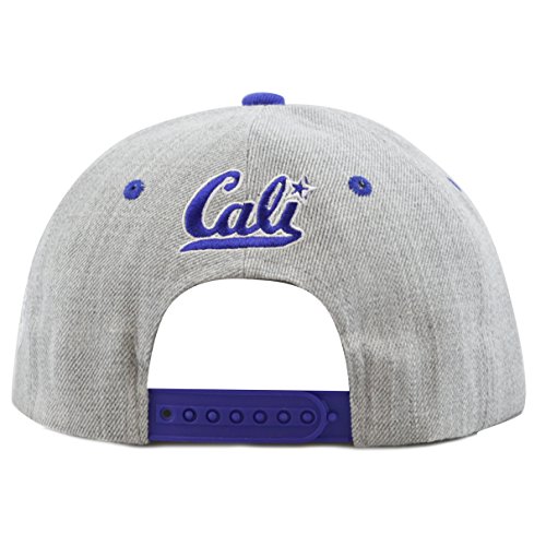 THE HAT DEPOT 1300A Premium Quality "Republic California" Soft Heather Grey Snapback Cap (Royal)