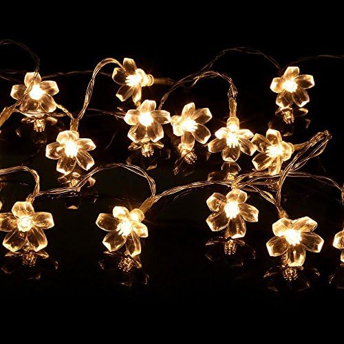 String Lights Foutou 10 LED Party Wedding Garden Outdoor Christmas Decor Flashing Lights (Yellow)