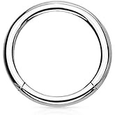 Forbidden Body Jewelry conch piercing jewelry, daith earrings, tragus hoop, 14g - 16g Titanium Hinged Seamless Body Piercing Hoop ring (Sold Individually)