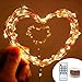 Lachesis Dimmable LED Starry String Lights, (66 Ft, 200 Leds, Copper Wire Lights with UL Certified), Waterproof Firefly Lights for Christmas, Wedding, Party, Holiday Decorative