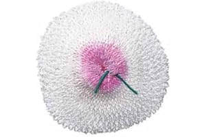 Primus Thorium-Free Lantern Mantles, Pack of 3