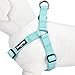 Blueberry Pet Essentials Step-in Dog Harness, Small Size | Adjustable Mint Blue Vest | Classic Solid Nylon for Boy & Girl Dogs, Chest Girth 16.5