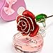 MNIEYU Gold Rose 24k Gold Dipped Rose Everlasting Long Stem Real Rose Exquisite Holder, Unique Romantic Gift Valentine's Day Forever Rose, Anniversary, Mother's Day Birthday Gift