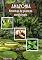 Livro Receitas de Plantas medicinais: Ebook com várias receitas de plantas medicinais amazonicas e como prepará-las de maneiras seguras.