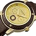 Akribos XXIV Women's AK560BR Quartz Multi-Function Genuine Leather Watch