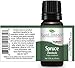 Plant Therapy Spruce (Hemlock) Essential Oil. 100% Pure, Undiluted, Therapeutic Grade. 10 ml (1/3 oz).