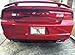 Stainless Steel License Plate Frame Kit with Mirror Polished Finish Will Never Rust or Corrode Includes US/Import Style Steel hardware 4 Hole Frame - Standard Style (easier to remove) By DFDM National