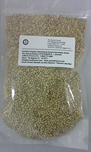 The Sprout House Certified Organic Non-gmo Sprouting Seeds - Buckwheat Groats 1 Pound - Thumbnail 4