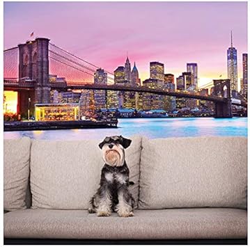 Gratuit Images Azutura Pont De Brooklyn Panoramique Papier Peint Photo Coucher De le plus cool salutations