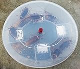 JTHM Safe Reusable Roach Trap Efficient Exterminate Cockroaches Killer Quickly Captured Roaches, Non-Toxic and ECO-Friendly