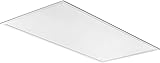 Lithonia Lighting CPX 2x4 LED Flat Panel Light, 2