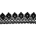 Trimscraft 2 Inch Wide Rayon Lace Trim Venise Lace Eyelet Fabric Pack of 14 Yards (Black)