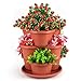 5 Tier Stackable Planter Vertical Garden - Outdoor & Indoor Gardening Tower for Growing Strawberry, Tomato, Herbs, Flowers, Vegetables and Succulents - Hanging Planter for Patio, Yard, Lawn, Porch