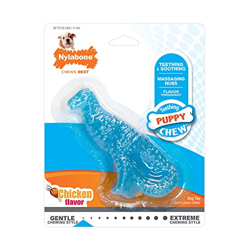 Nylabone Dinosaur Dental Chew Toy for Teething Puppies