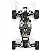 Team Losi 2WD Buggy Race Kit (1/10 Scale)