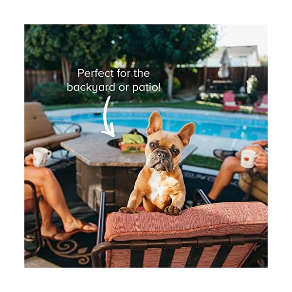 Earth-Rated-Dog-Poo-Bags-300-Dog-Waste-Bags-on-a-Large-Single-Roll-Guaranteed-Leak-proof-Lavender-scented-Great-for-Backyard-Pickups-Each-Poo-Bag-Measures-20-x-33-cm Earth Rated Dog Poop Bags, Thick Grab and Go Single Roll, Ideal for Backyard Pickups, Lavender Scented, 300 Bags