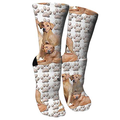 Msd8sd2w Three Rhodesian Ridgebacks Men's/Women's Sensitive Feet Wide Fit Crew Socks and Cotton Crew Athletic Sock