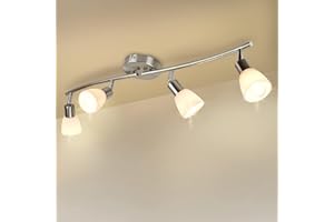 DLLT 4-Light Track Lighting Kit, Modern Track Light with Flexibly Rotatable Light Head, Directional Ceiling Spot Light with F