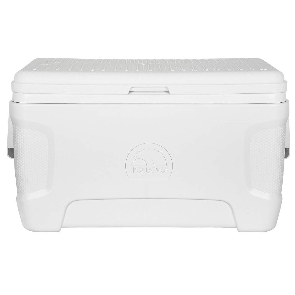 Igloo Nevera portátil Marine Contour 49 litros Pesca, Camping ...