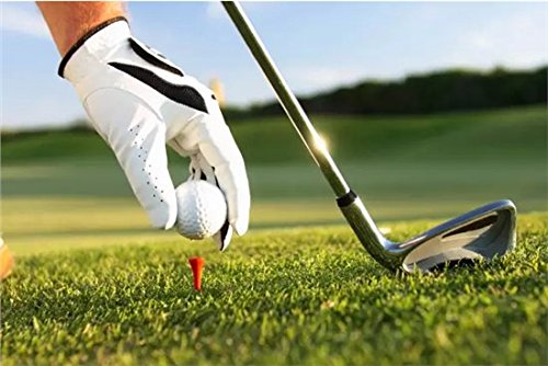 Kofull Golf tees 2 1/8inch Wood Natural Professional 100/Pack Less Friction Golf Wooden Tees Training for Golfer (red) - Thumbnail 2