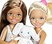 Barbie FJH89 Club Chelsea Carousel Swing Mattel (2 Dolls Included), Brown/a