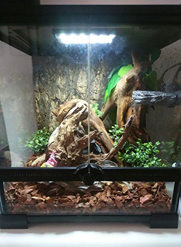 Hoke Day/Night LED Light Hood for Terrarium, White and Blue LEDs