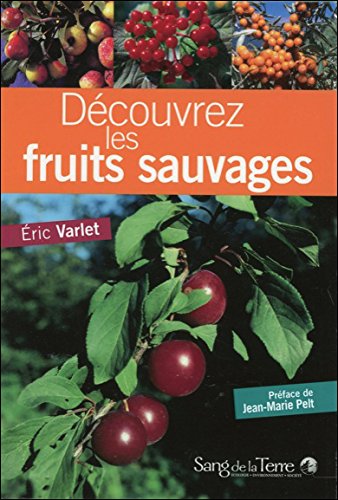 Découvrez les fruits sauvages