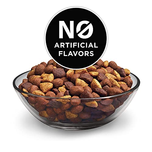 purina dog chow 46 lb